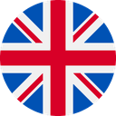 Current Language Icon