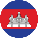 Current Language Icon