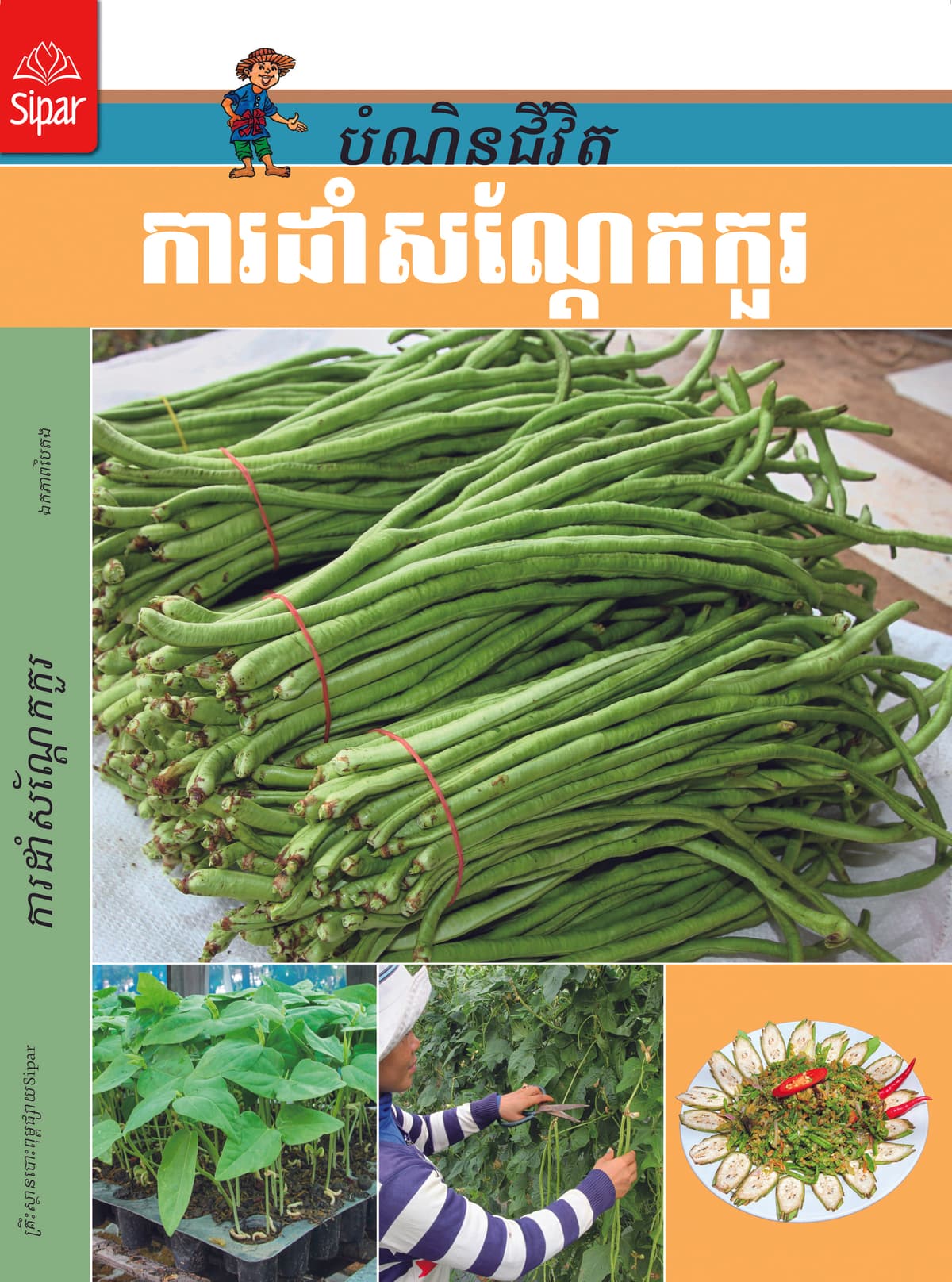 ការដាំសណ្តែកកួរ