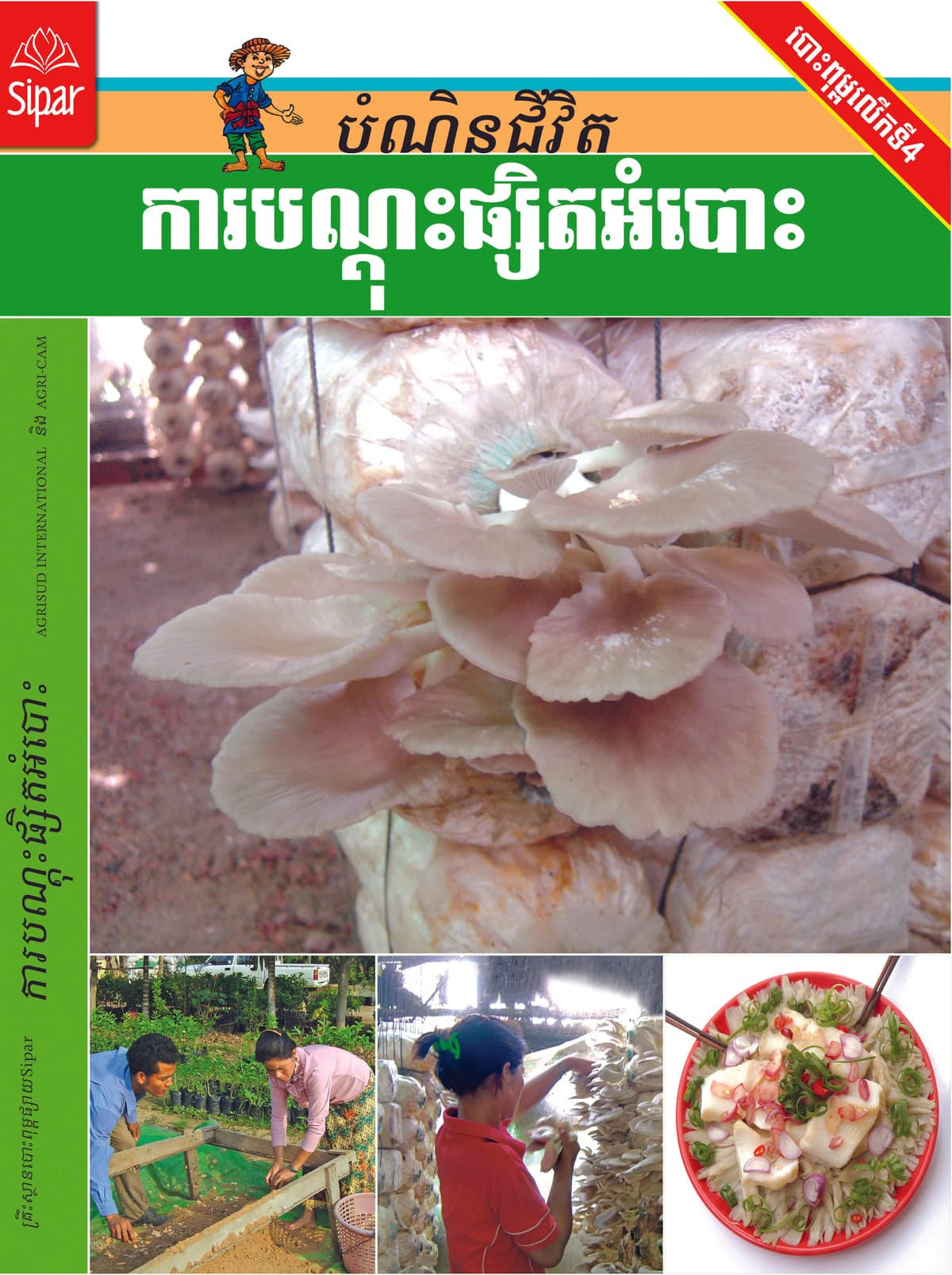 ការបណ្តុះផ្សិតអំបោះ