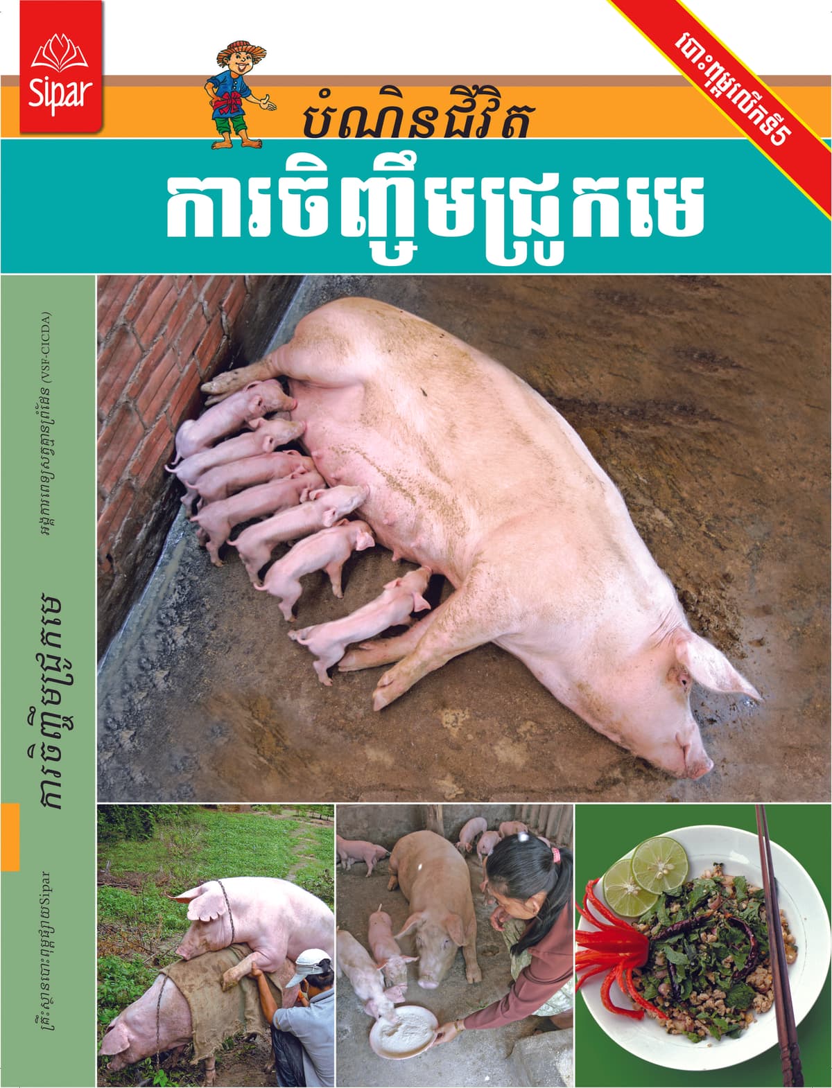 ការចិញ្ចឹមជ្រូកមេ