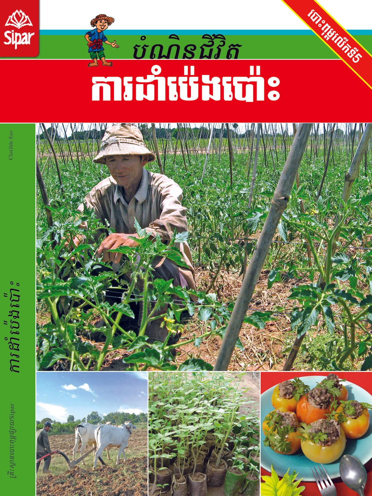 ការដាំប៉េងប៉ោះ