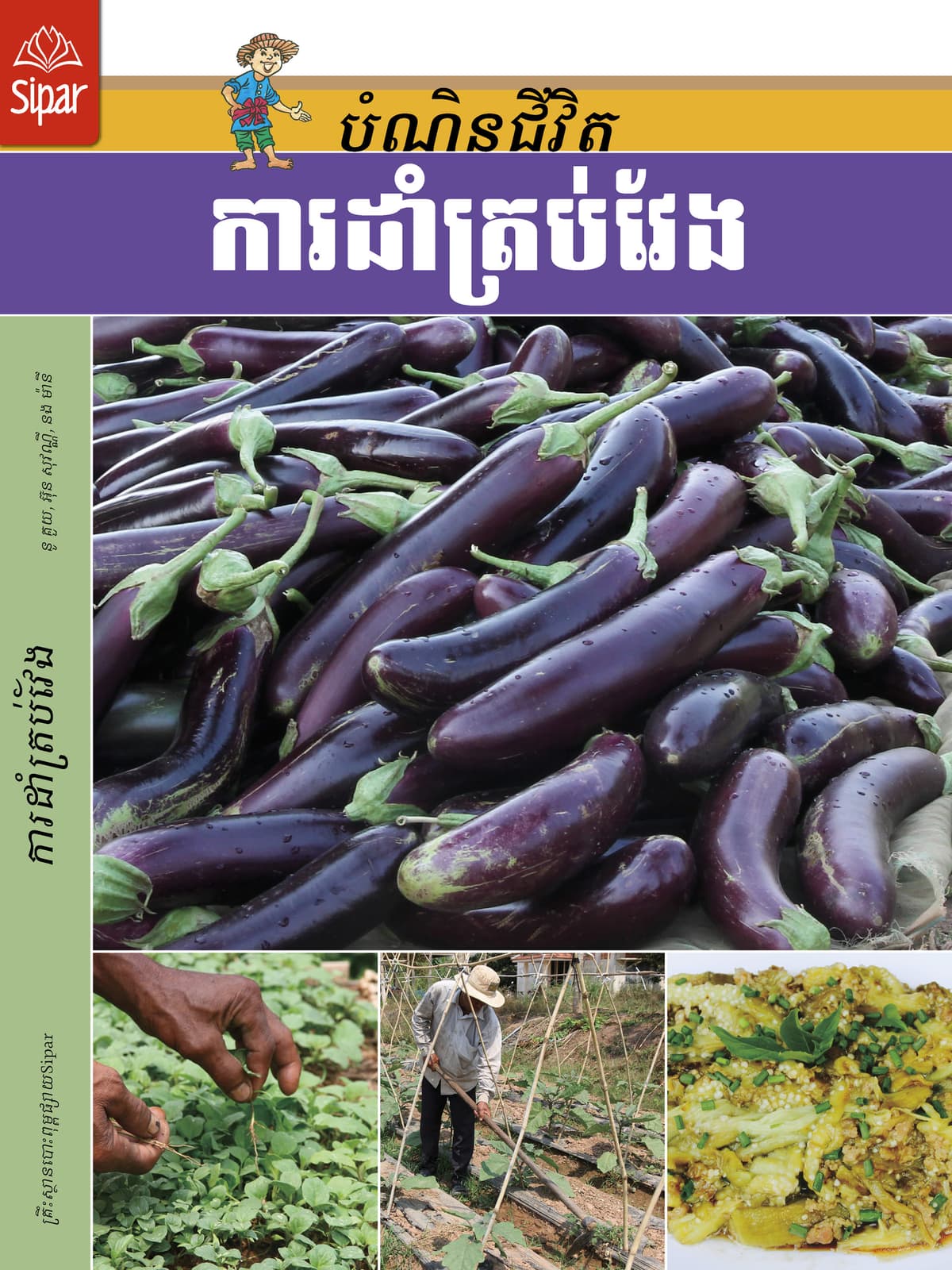 ការដាំត្រប់វែង