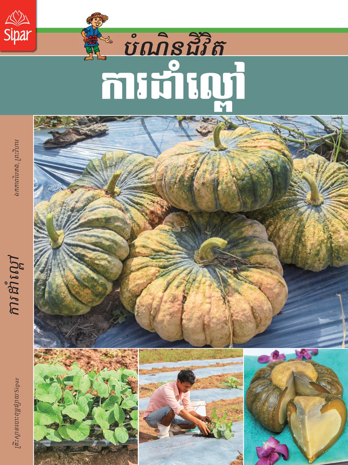 ការដាំល្ពៅ